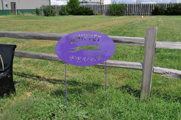 Minden Whippet Sign